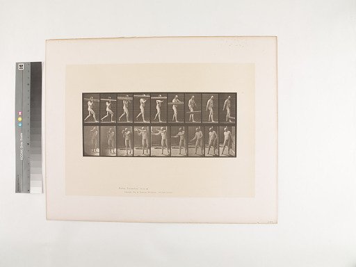 Animal Locomotion. Plate 384.