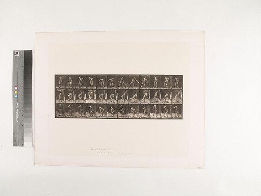 Animal Locomotion. Plate 387.