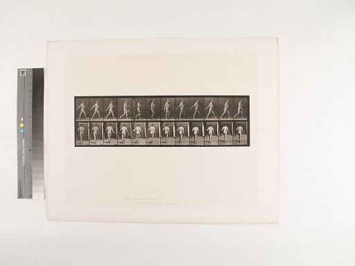 Animal Locomotion. Plate 389.