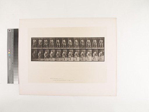 Animal Locomotion. Plate 391.