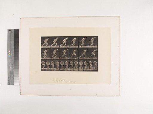 Animal Locomotion. Plate 392.