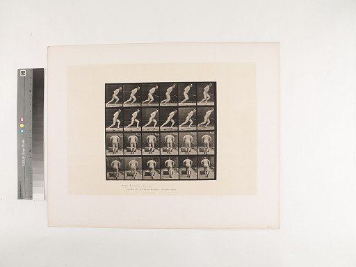 Animal Locomotion. Plate 393.