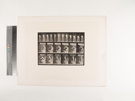 Animal Locomotion. Plate 394.