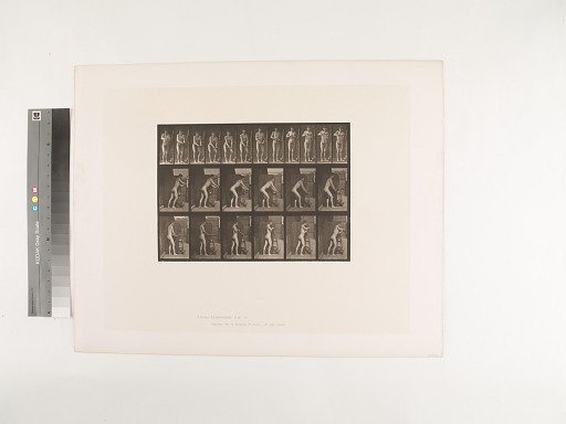 Animal Locomotion. Plate 395.