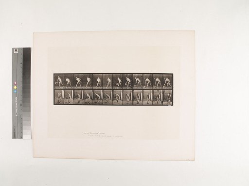 Animal Locomotion. Plate 398.