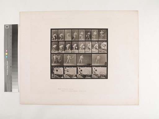 Animal Locomotion. Plate 400.