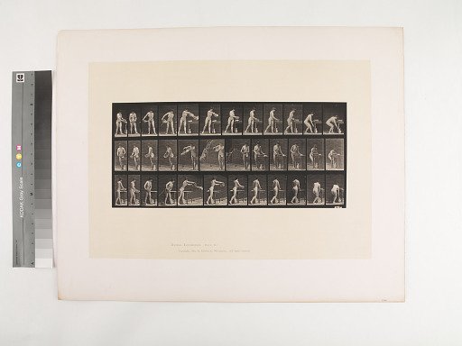 Animal Locomotion. Plate 402.