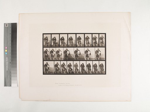 Animal Locomotion. Plate 403.