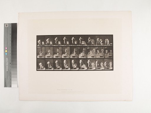 Animal Locomotion. Plate 408.