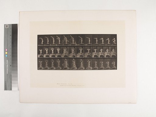 Animal Locomotion. Plate 409.