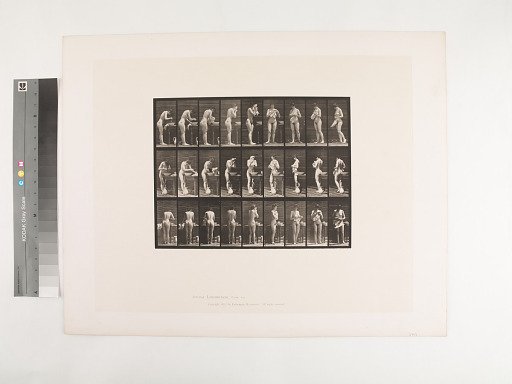 Animal Locomotion. Plate 412.