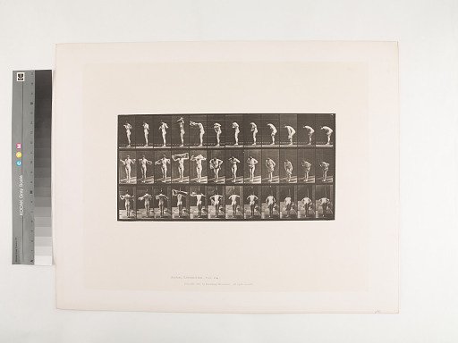 Animal Locomotion. Plate 414.