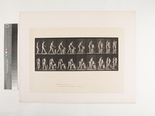Animal Locomotion. Plate 415.
