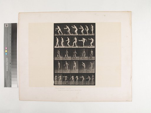 Animal Locomotion. Plate 416.
