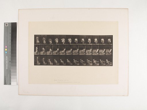Animal Locomotion. Plate 417.