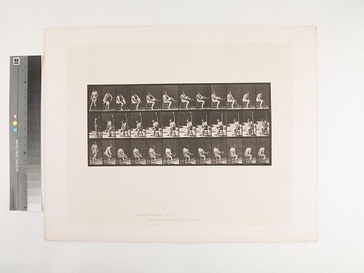 Animal Locomotion. Plate 418.