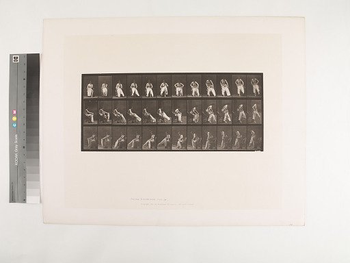 Animal Locomotion. Plate 420.