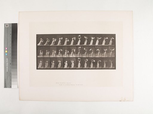 Animal Locomotion. Plate 421.