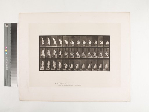 Animal Locomotion. Plate 423.