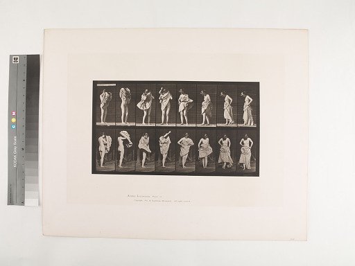 Animal Locomotion. Plate 425.