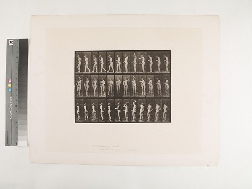 Animal Locomotion. Plate 426.