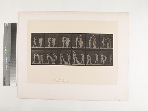 Animal Locomotion. Plate 427.