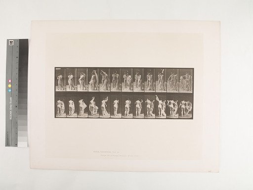 Animal Locomotion. Plate 428.