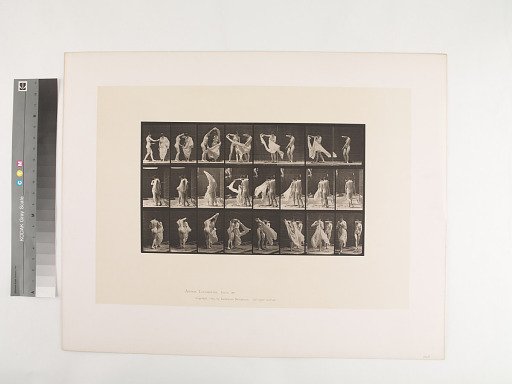 Animal Locomotion. Plate 429.