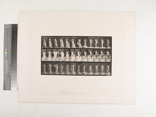 Animal Locomotion. Plate 431.