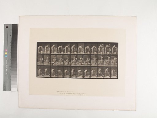 Animal Locomotion. Plate 432.