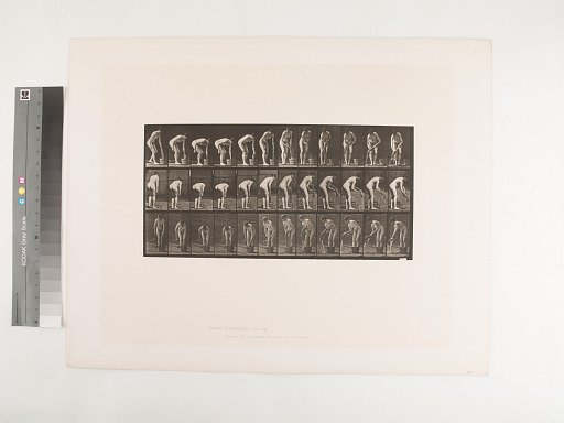 Animal Locomotion. Plate 433.