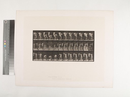Animal Locomotion. Plate 434.