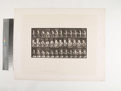 Animal Locomotion. Plate 435.