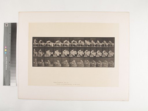 Animal Locomotion. Plate 436.