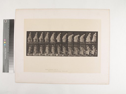 Animal Locomotion. Plate 437.