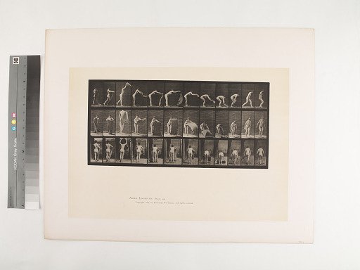 Animal Locomotion. Plate 439.