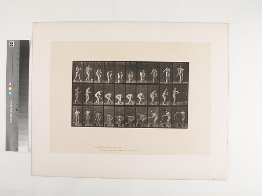 Animal Locomotion. Plate 440.