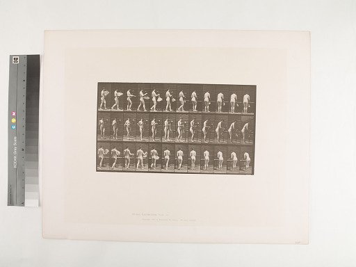 Animal Locomotion. Plate 441.