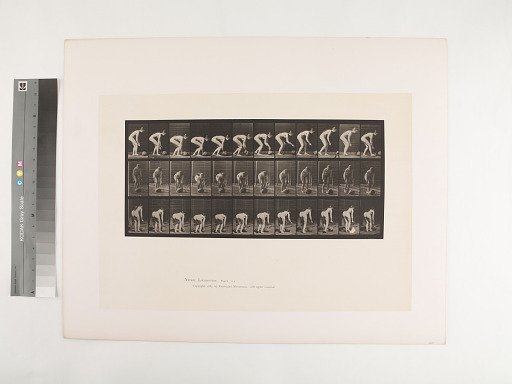 Animal Locomotion. Plate 442.