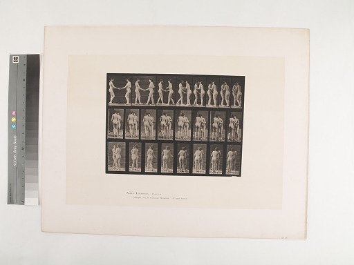 Animal Locomotion. Plate 444.