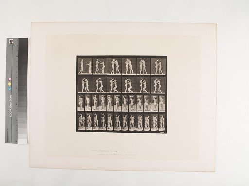 Animal Locomotion. Plate 445.
