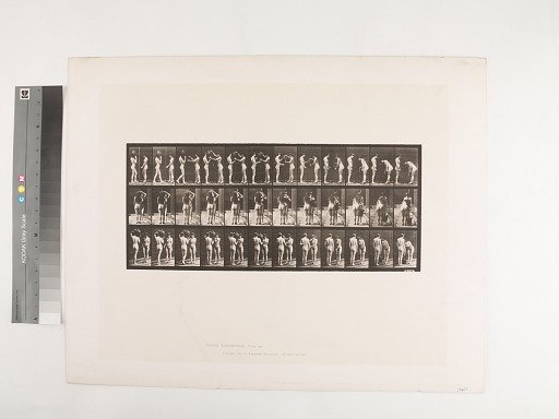 Animal Locomotion. Plate 447.