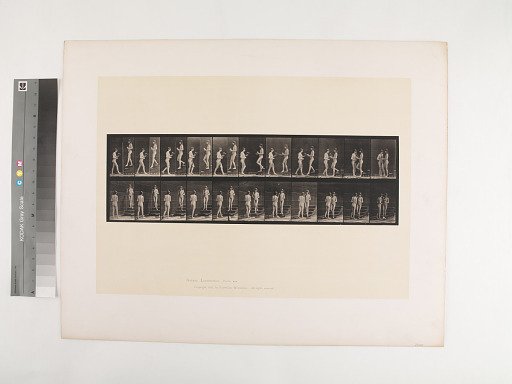 Animal Locomotion. Plate 448.
