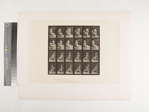 Animal Locomotion. Plate 451.