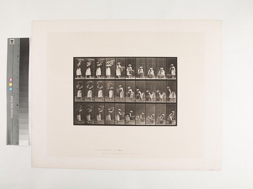 Animal Locomotion. Plate 454.