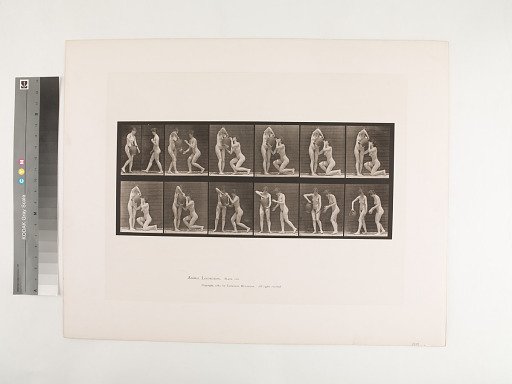 Animal Locomotion. Plate 452.