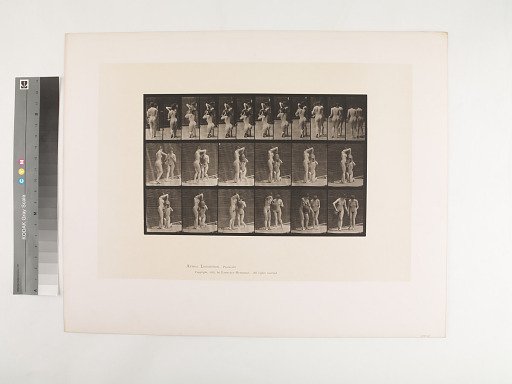 Animal Locomotion. Plate 453.
