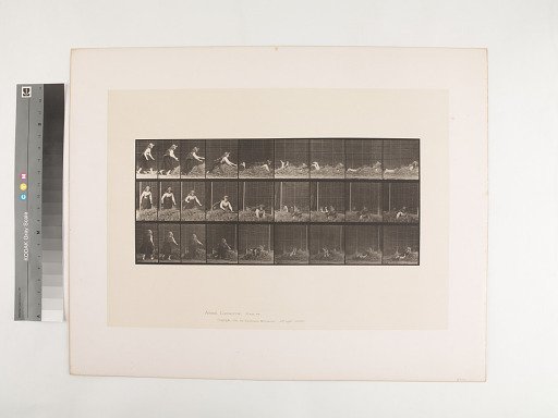 Animal Locomotion. Plate 455.