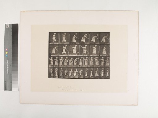 Animal Locomotion. Plate 456.