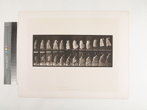 Animal Locomotion. Plate 457.